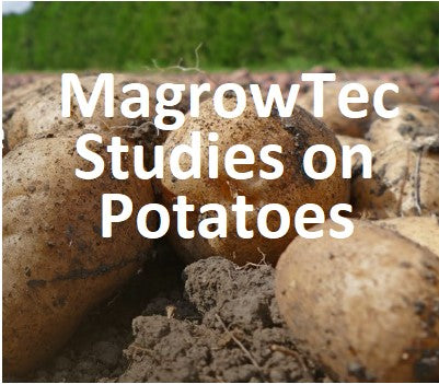 Magrow Studies on Potatoes